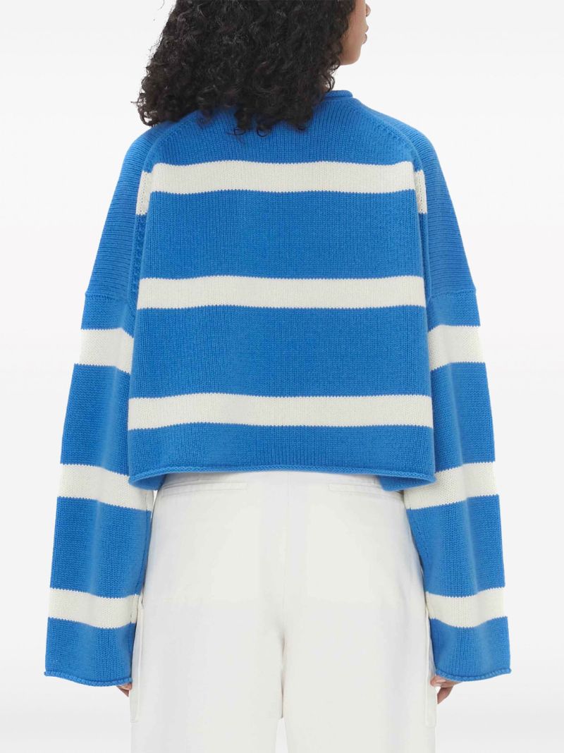 Blue Anchor Embroidery Cropped Jumper