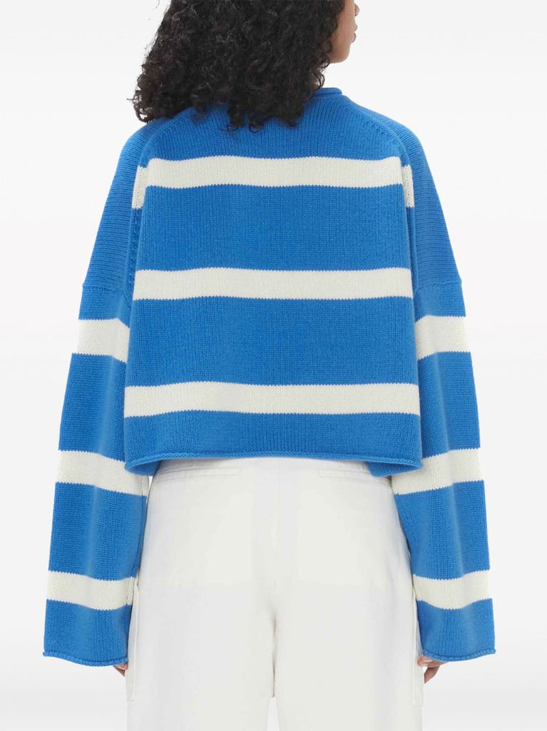 Blue Anchor Embroidery Cropped Jumper
