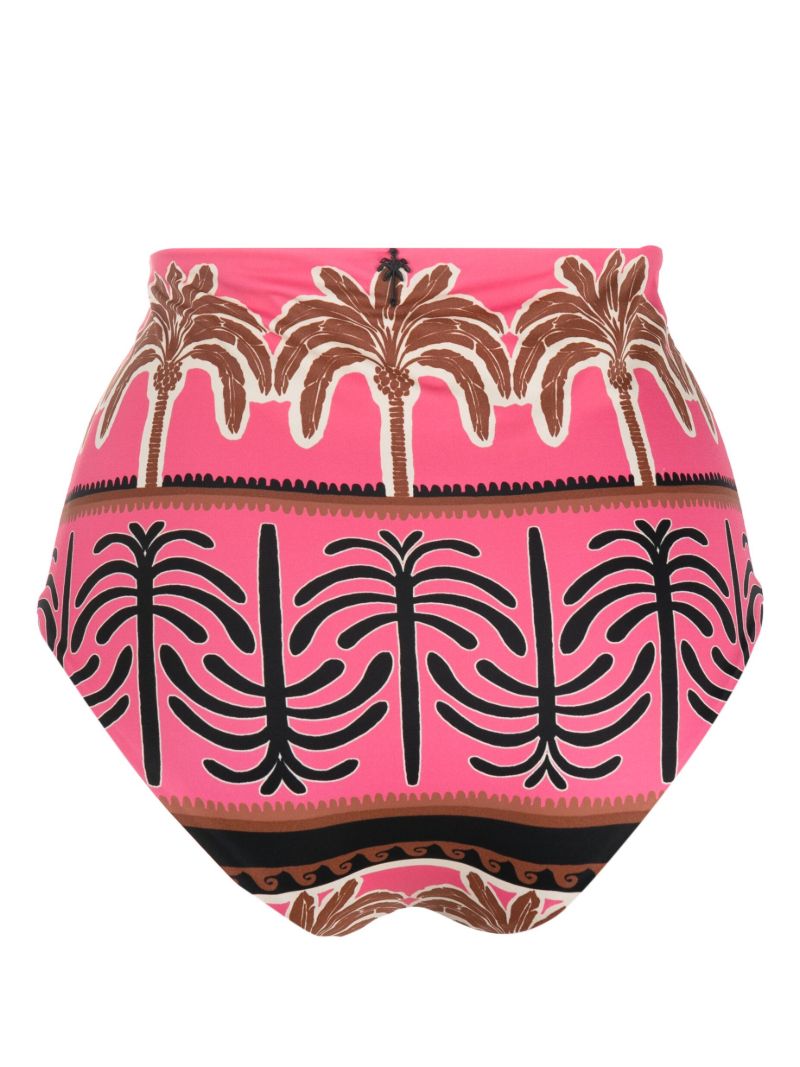Pink Mahaba Palm Tree-print Bikini Bottoms