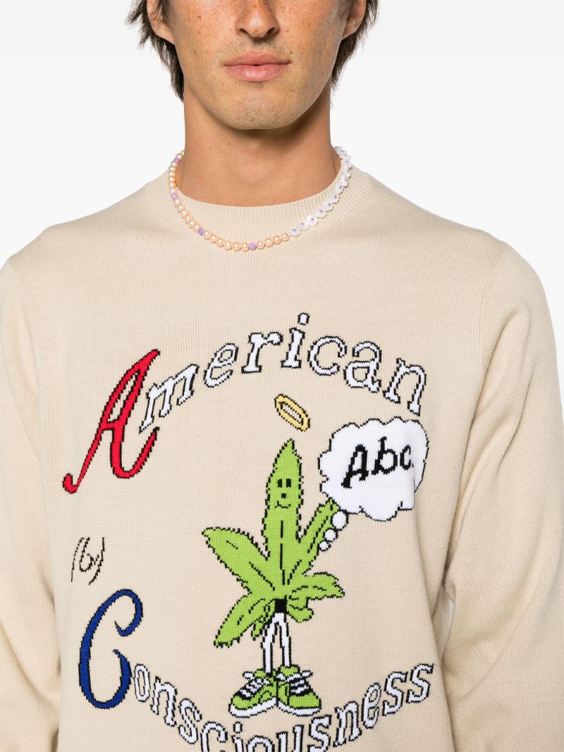 Neutral American Consciousness Sweater