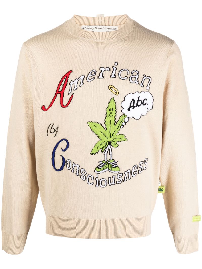 Neutral American Consciousness Sweater