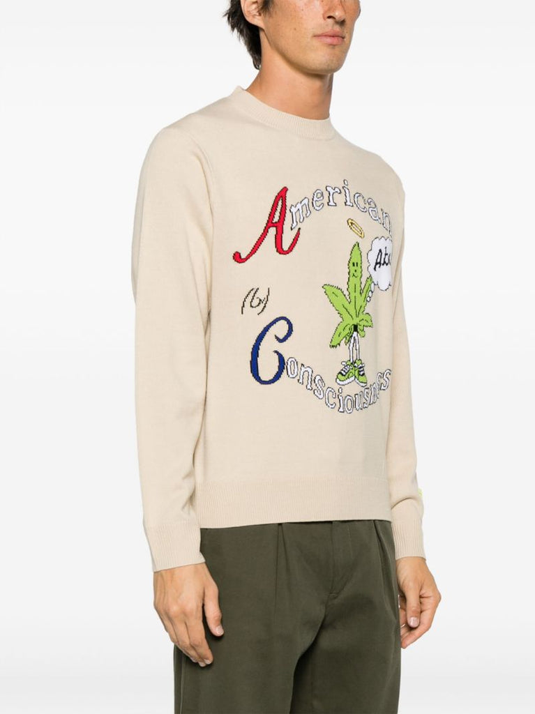 Neutral American Consciousness Sweater