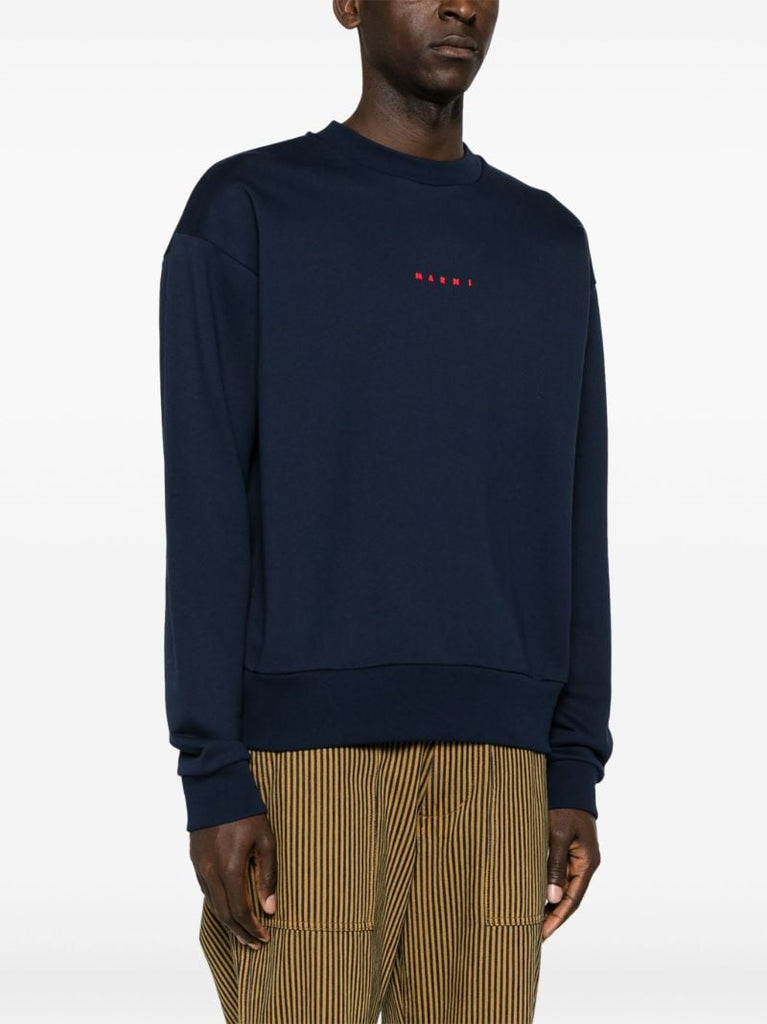 Blue Logo-print Cotton Sweatshirt
