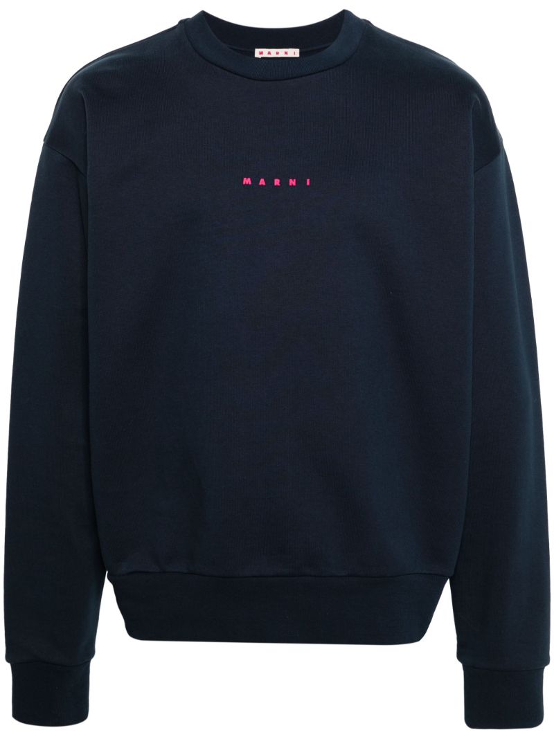 Blue Logo-print Cotton Sweatshirt
