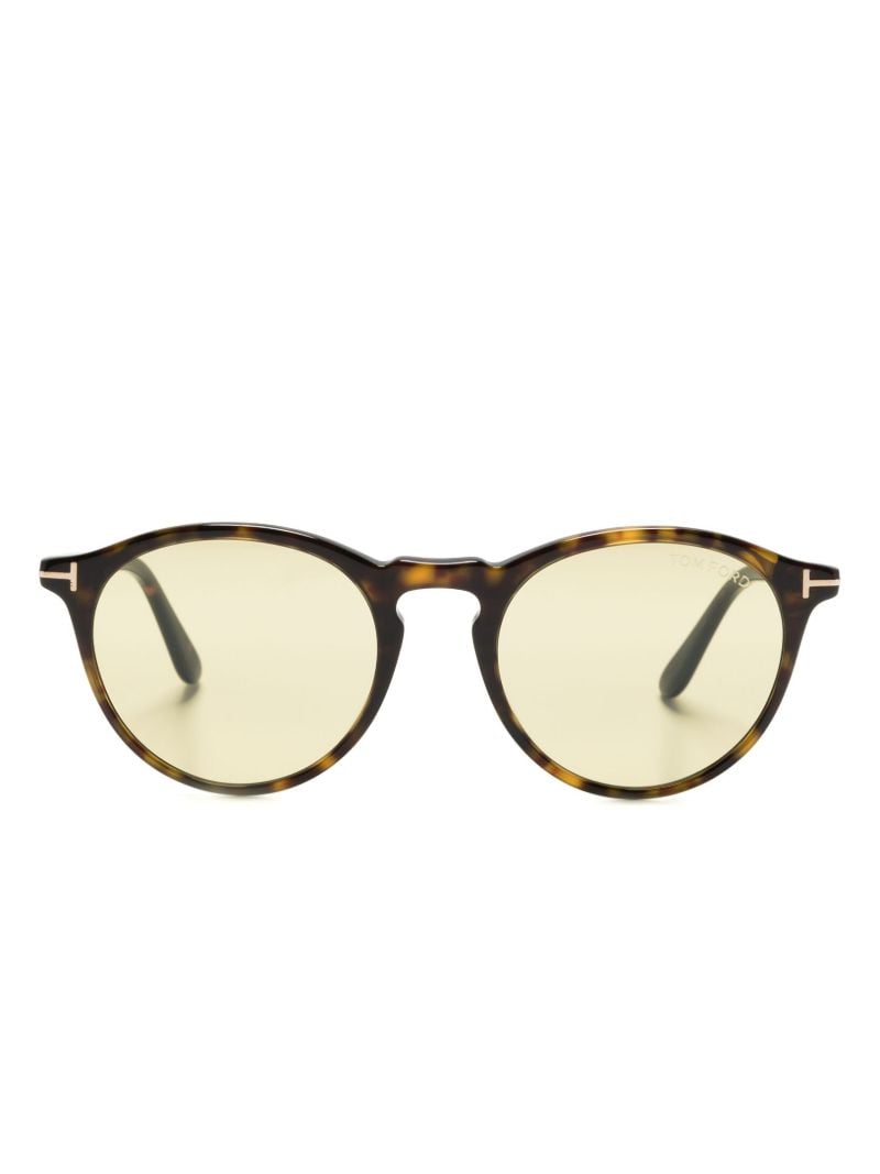 Brown Aurele Panto-frame Sunglasses