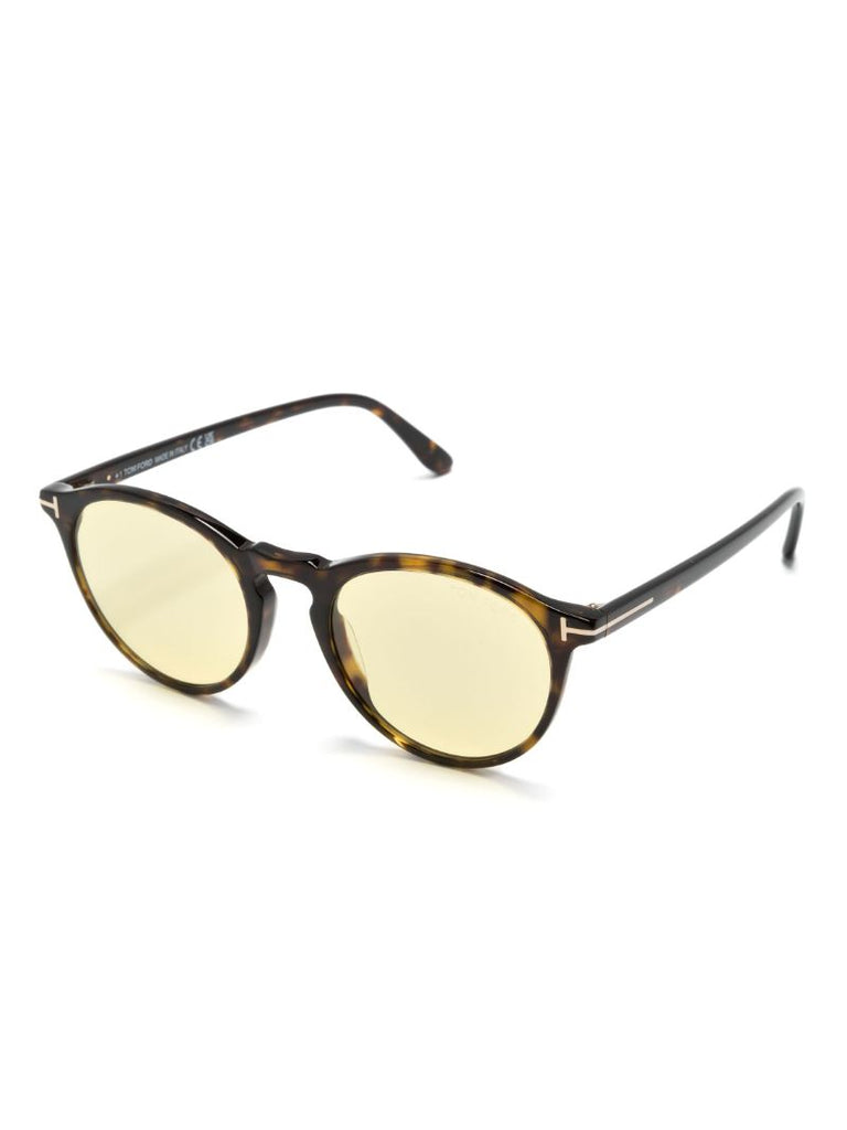 Brown Aurele Panto-frame Sunglasses