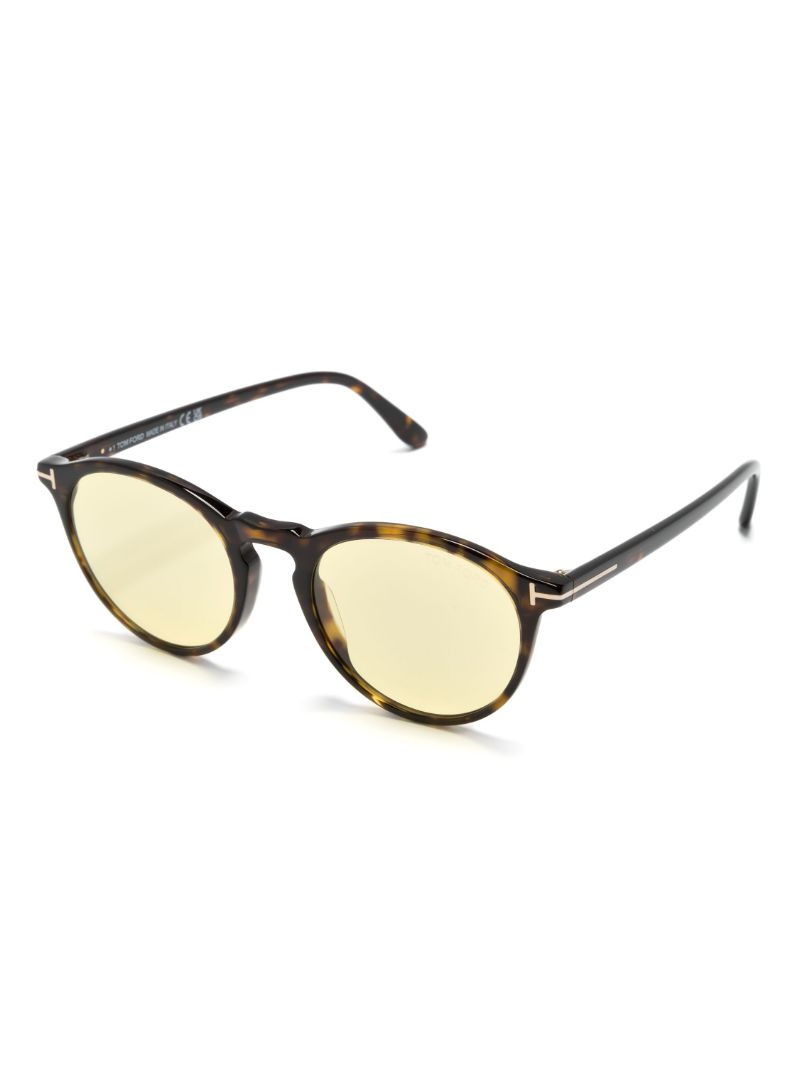 Brown Aurele Panto-frame Sunglasses