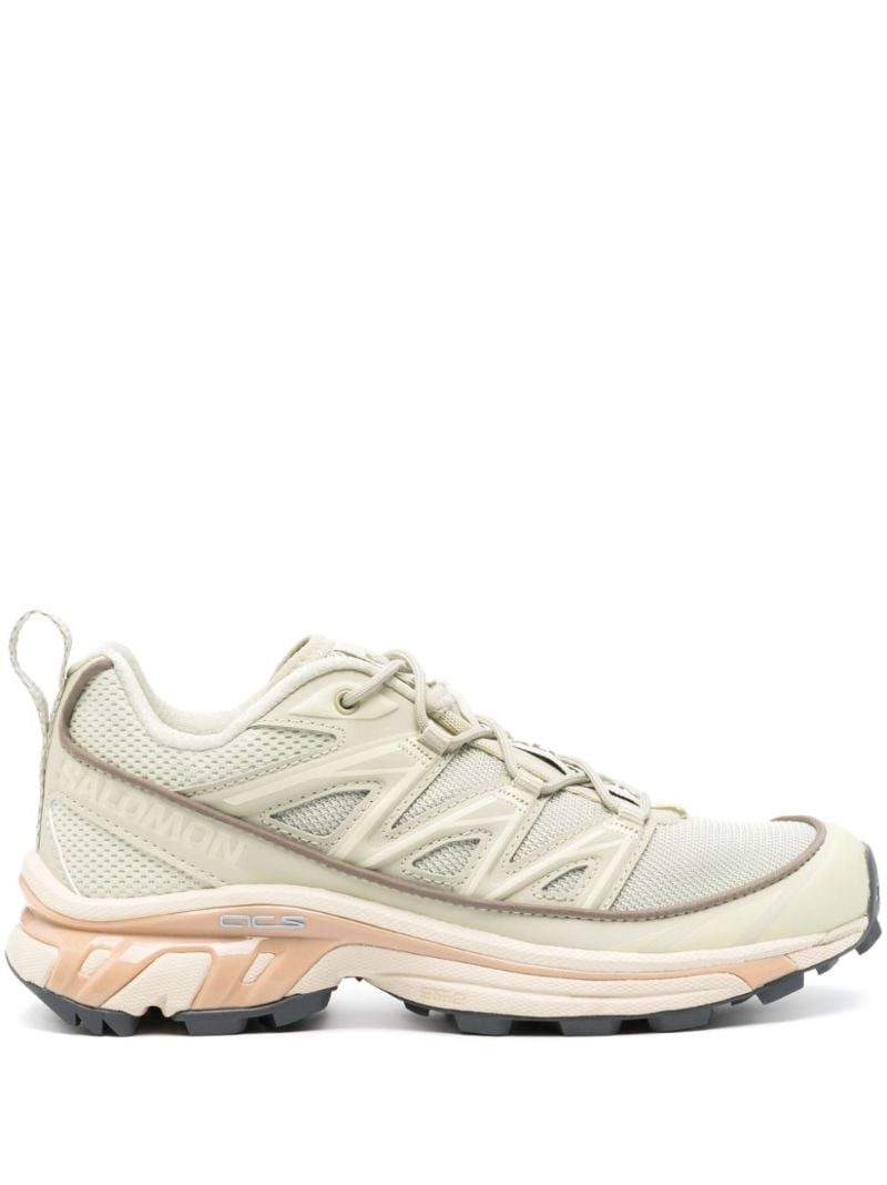Neutral Xt-6 Expanse Sneakers
