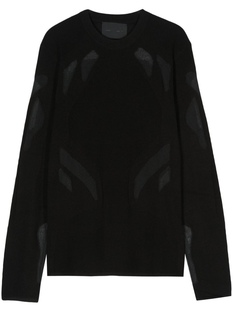 Black Semi-sheer Panels Sweater
