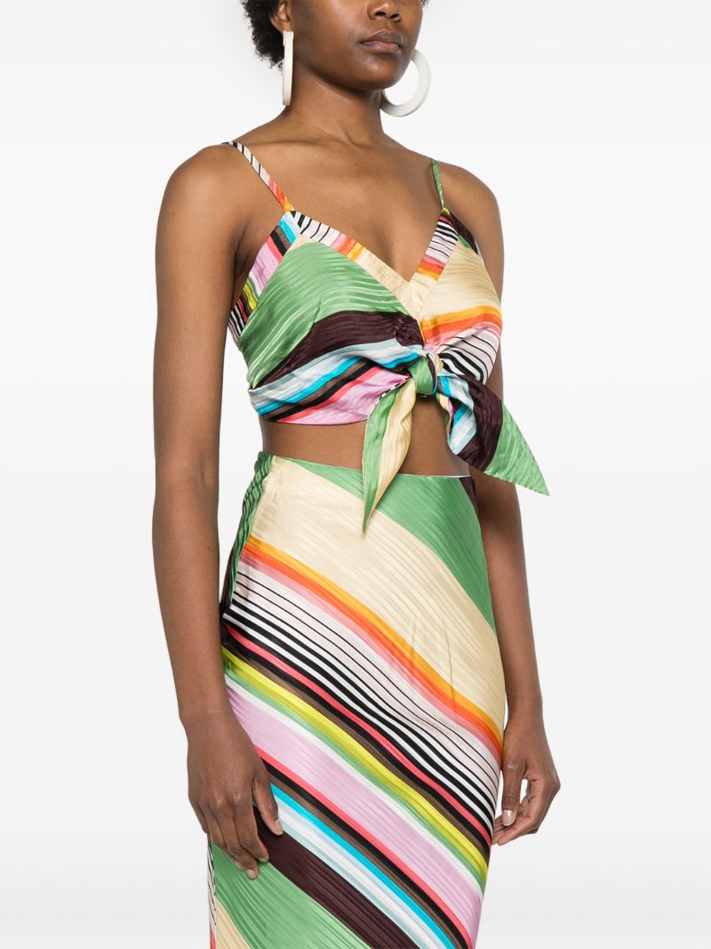 Multicolour Striped Cropped Top