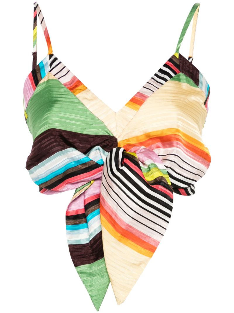 Multicolour Striped Cropped Top