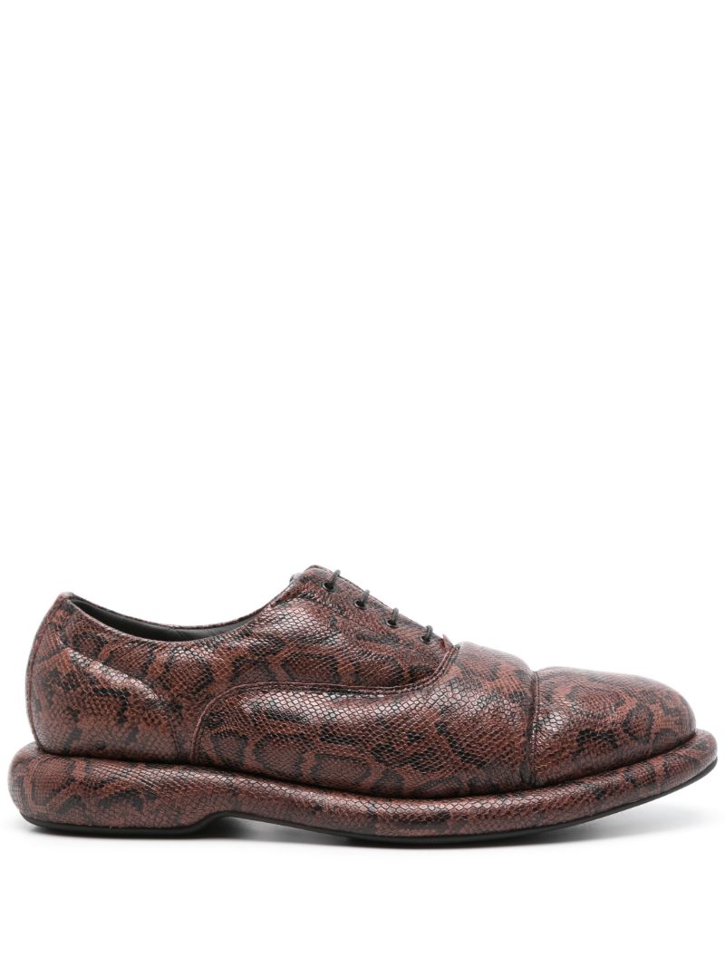 Brown Snakeskin-effect Oxford Shoes