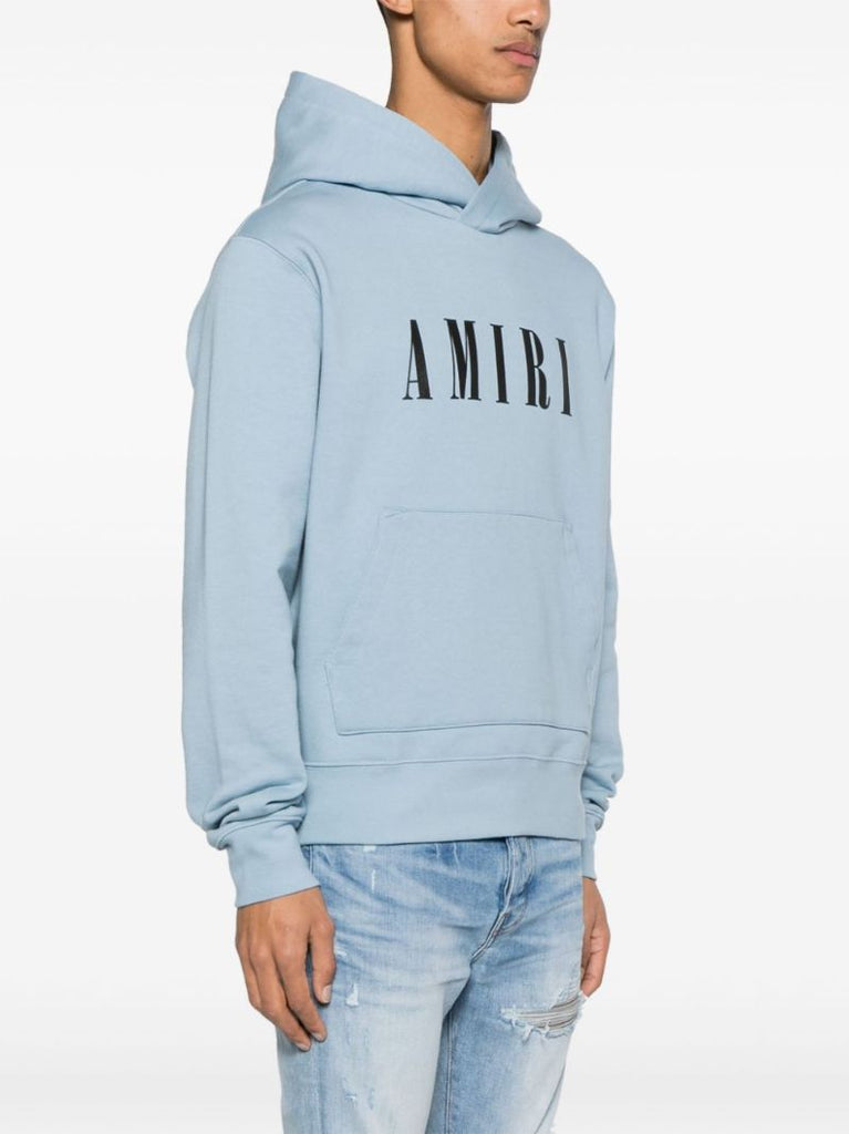 Blue Logo-print Cotton Hoodie