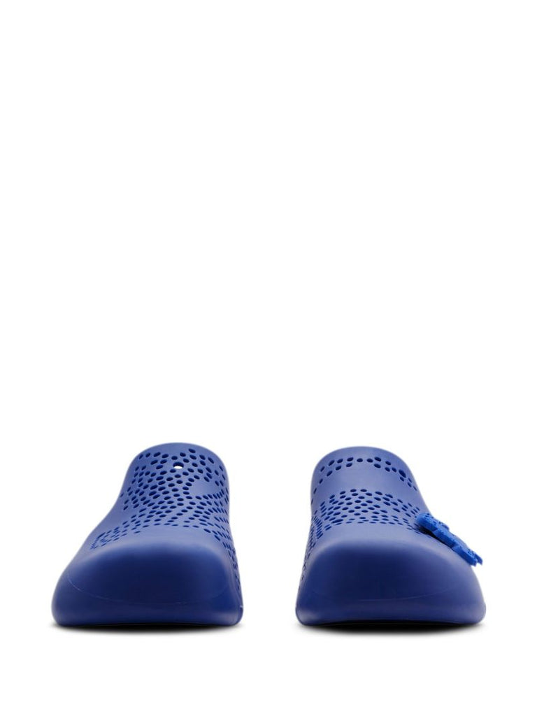 Blue Stingray Perforated Slides