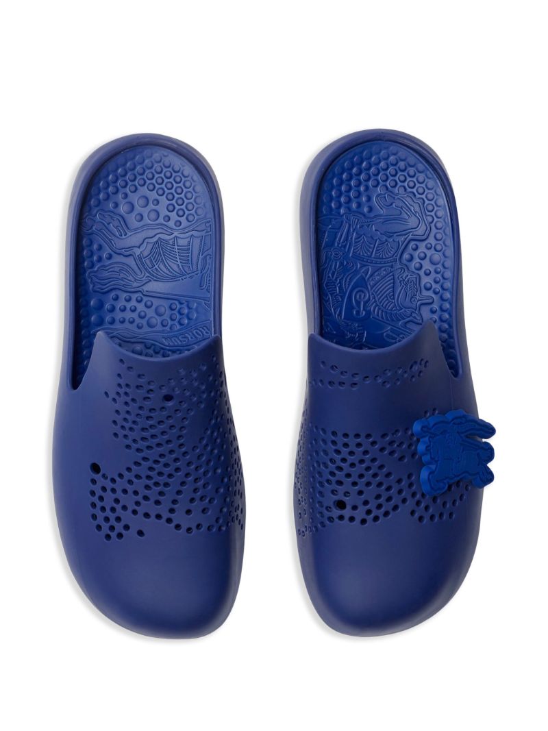 Blue Stingray Perforated Slides