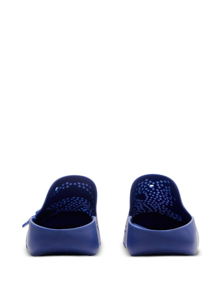 Blue Stingray Perforated Slides