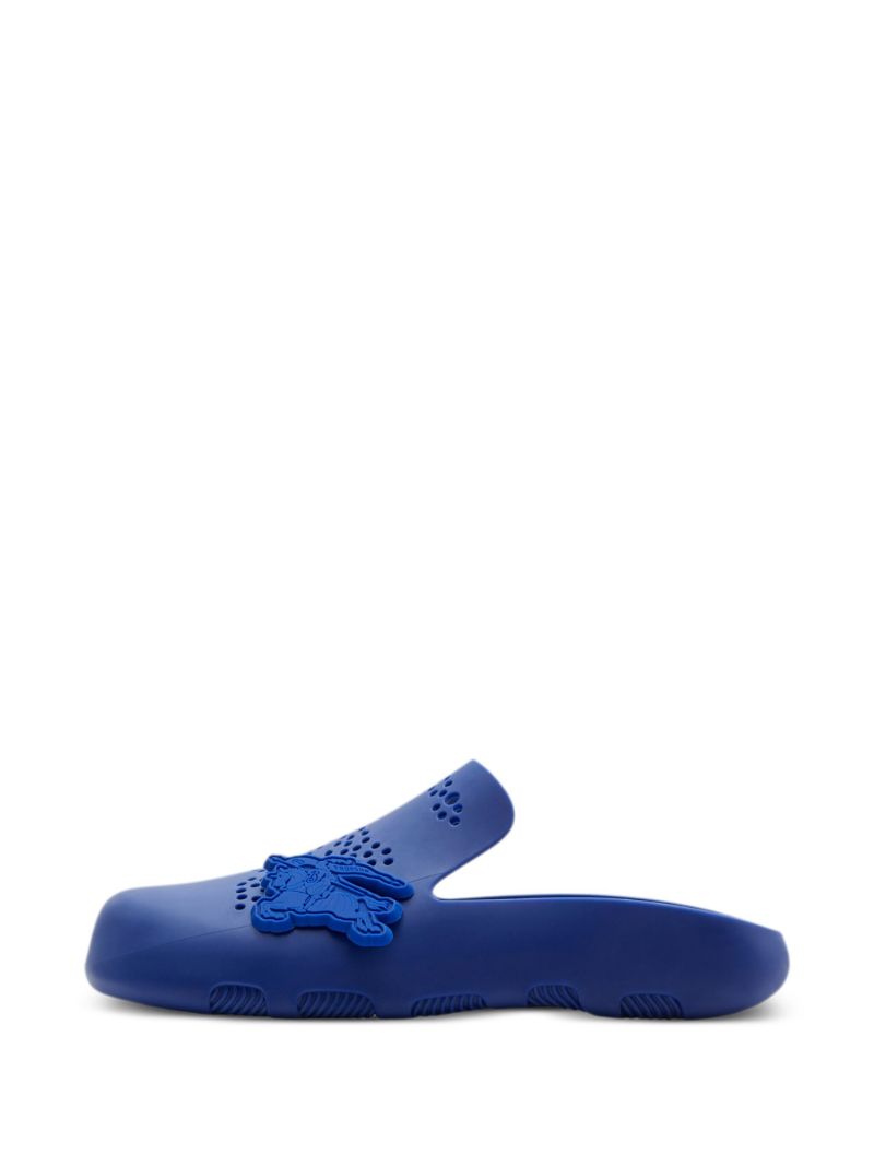 Blue Stingray Perforated Slides