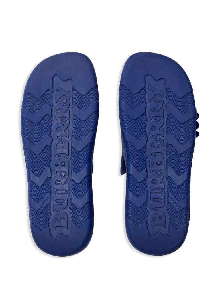 Blue Stingray Perforated Slides