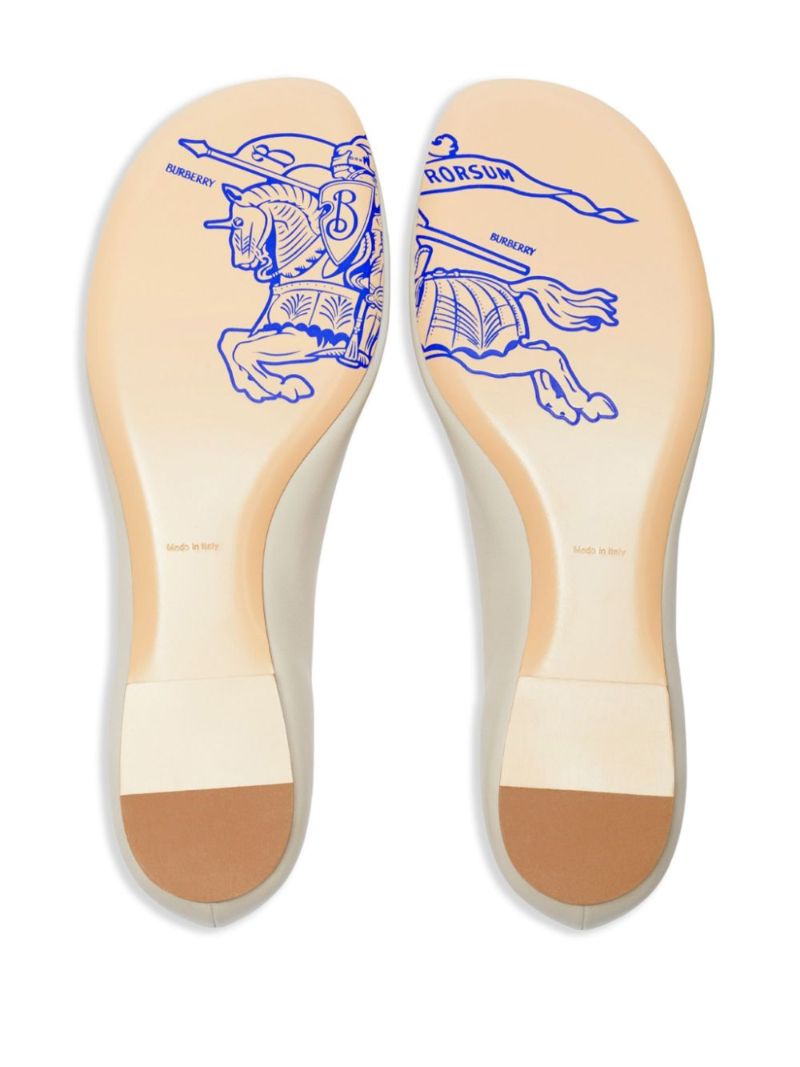 Sadler Zip Ballet Flats