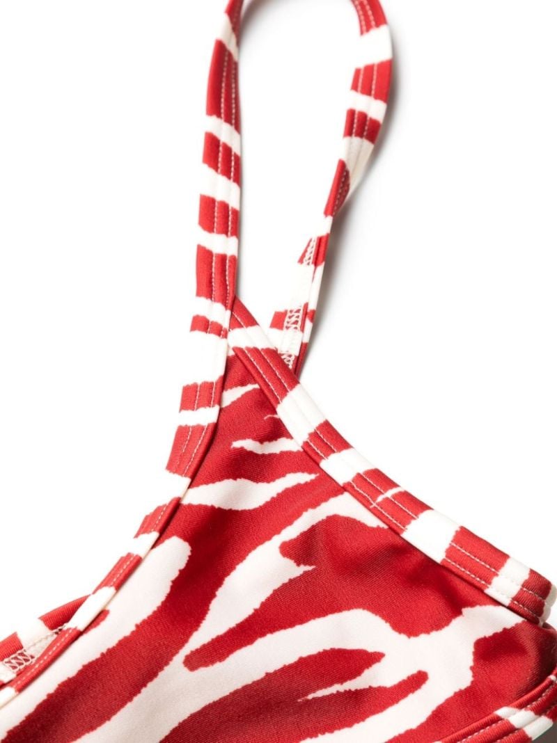 Red Zebra-print Bikini