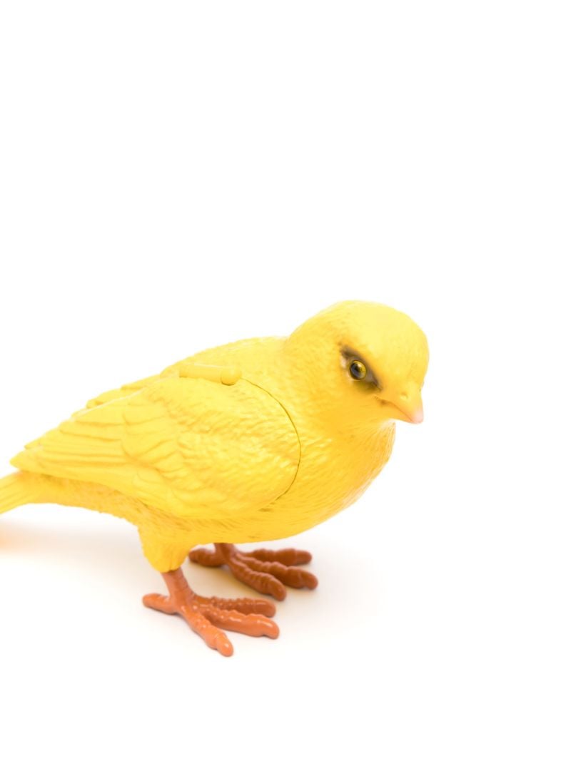 Canary Clutch Bag