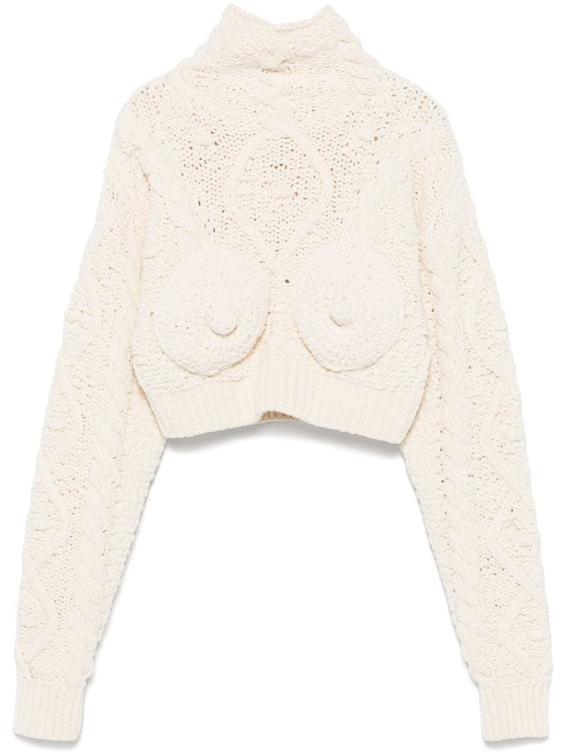 Iconic Breast Sweater