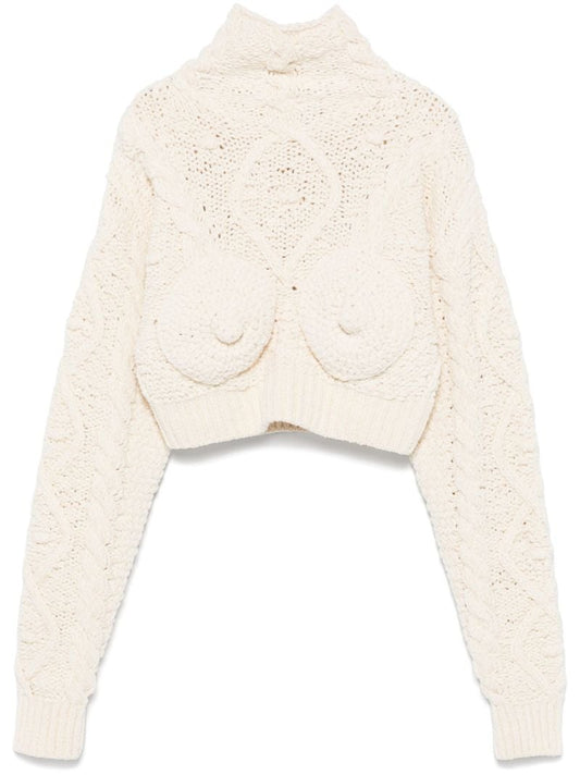 Iconic Breast Sweater