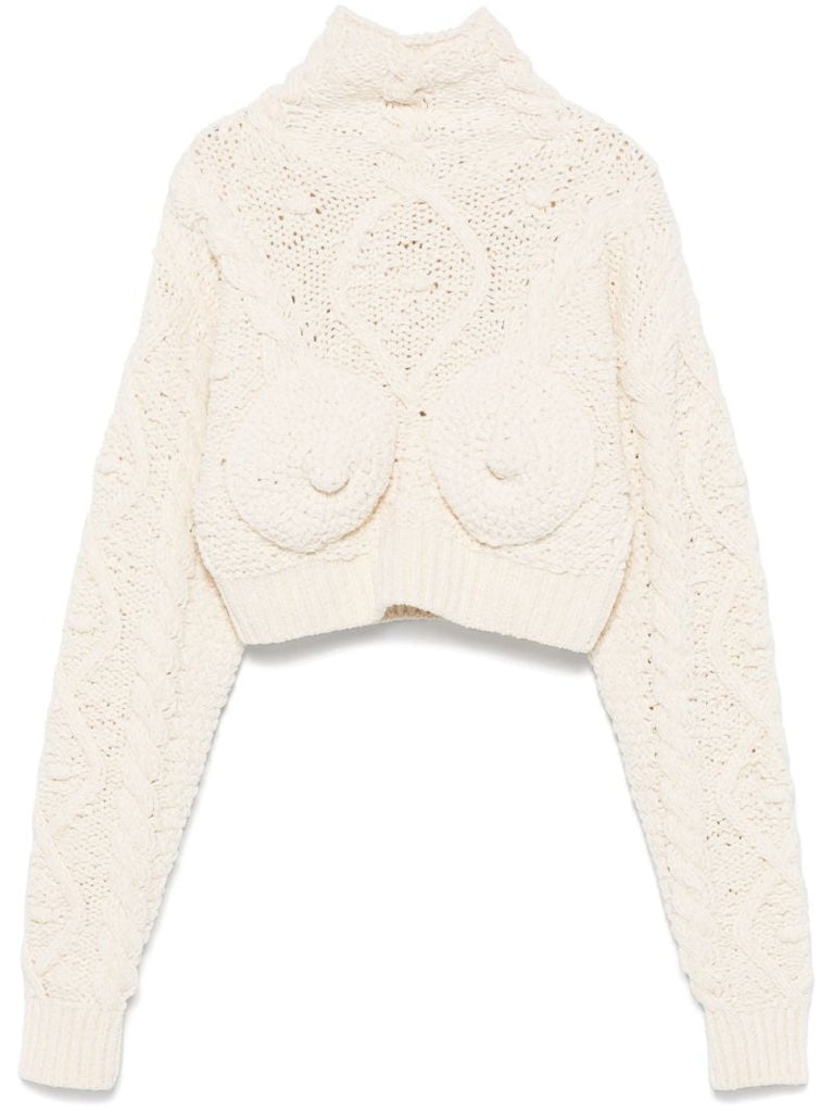 Iconic Breast Sweater