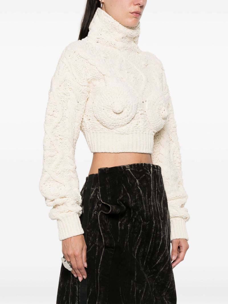 Iconic Breast Sweater