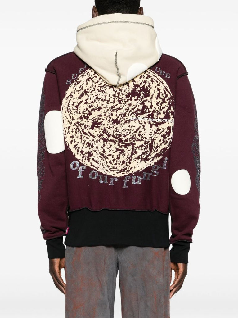 Red Planet Saving Information Fungi Hoodie