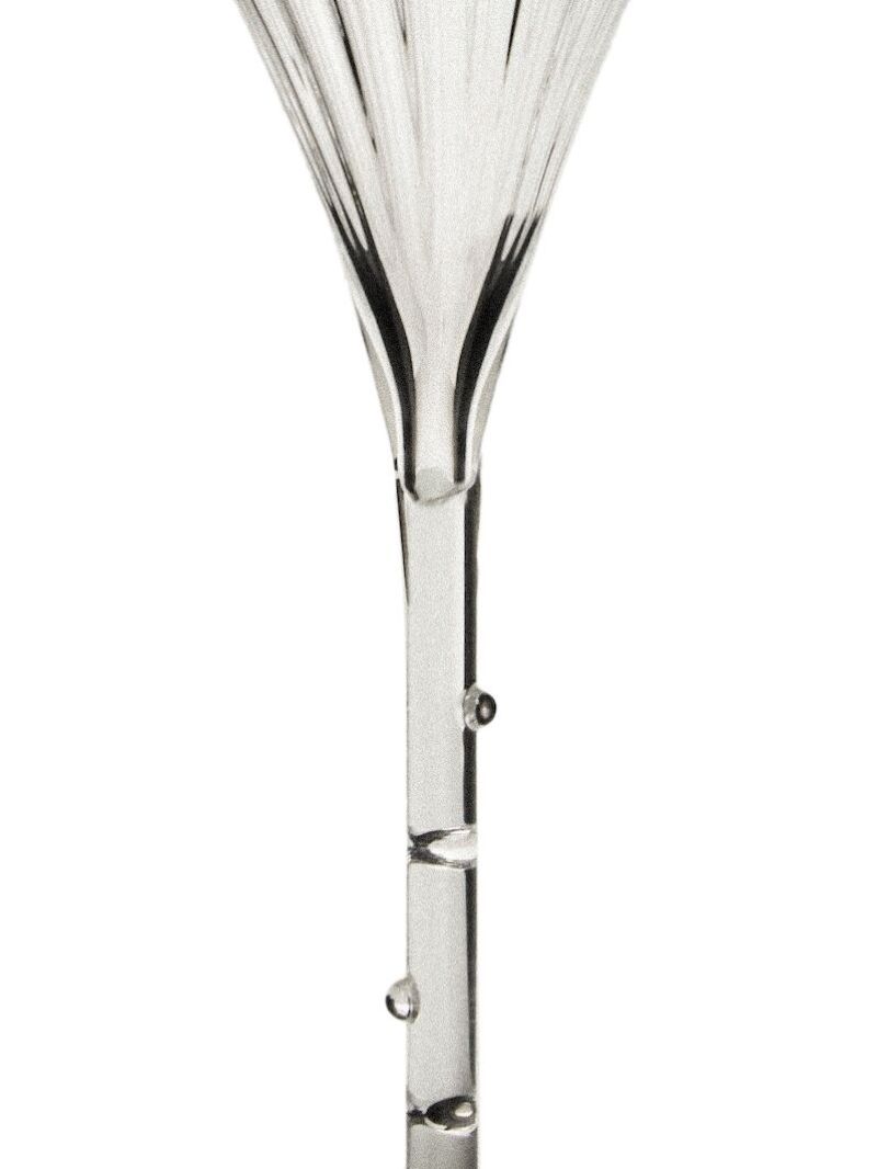 Scalloped Rim Glass Cocktail Glass