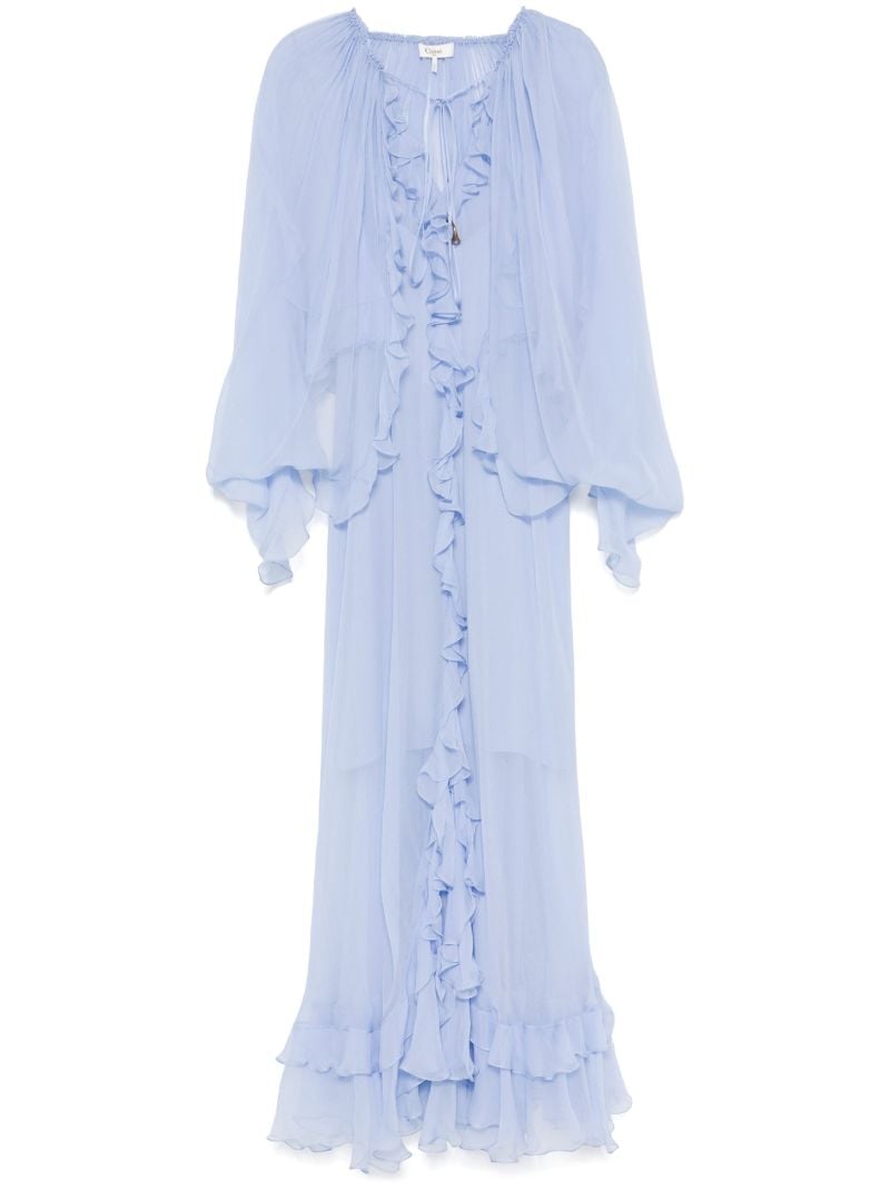 Sheer Ruffled Maxi Dress