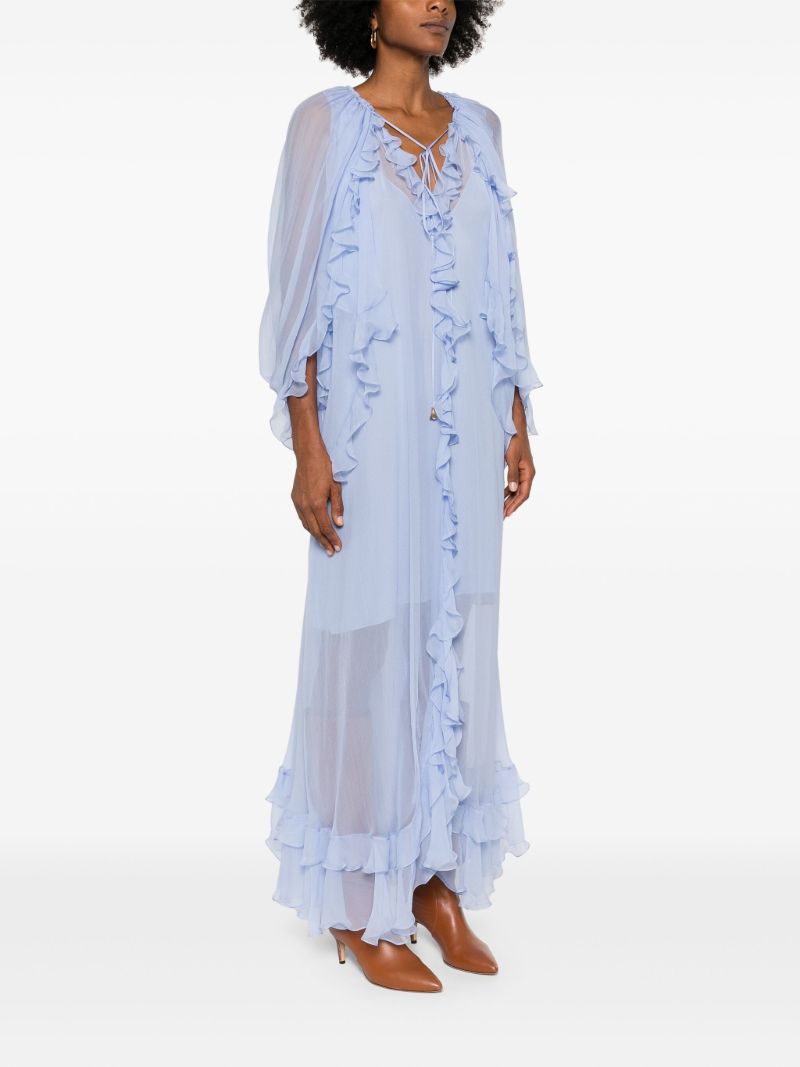 Sheer Ruffled Maxi Dress