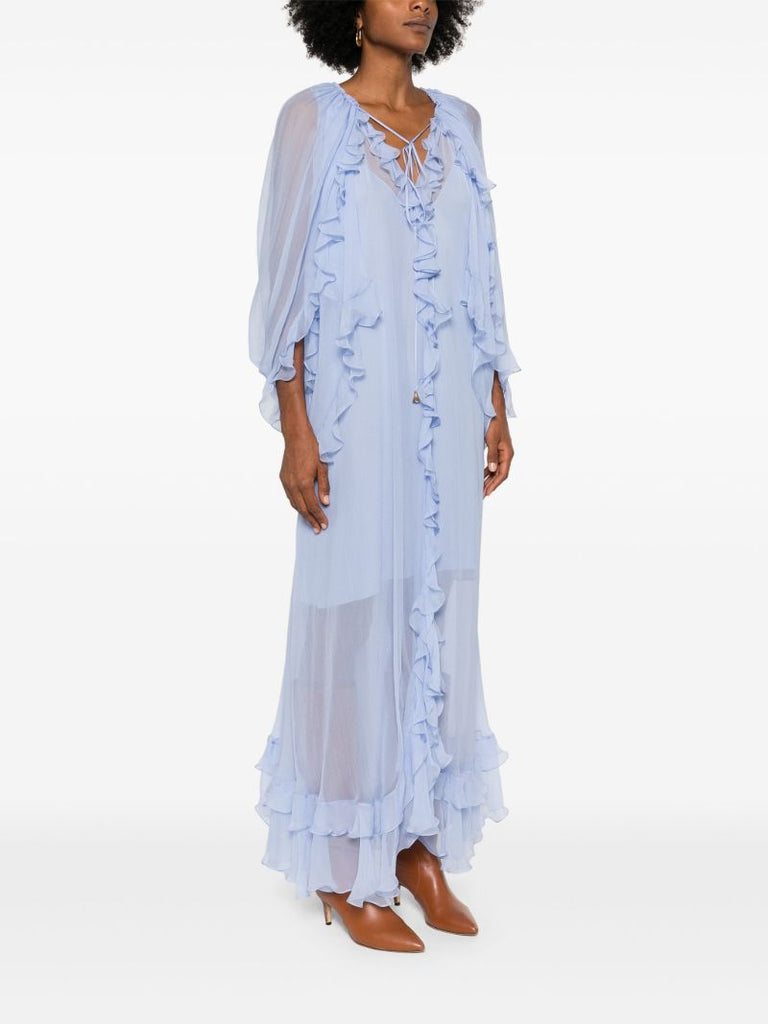 Sheer Ruffled Maxi Dress