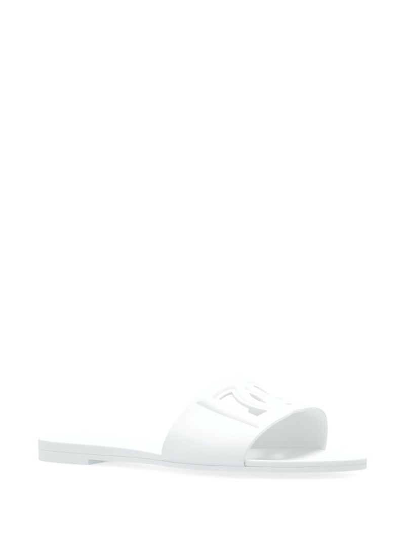 Dg Slides