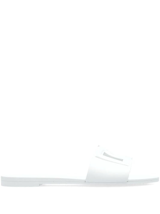 Dg Slides