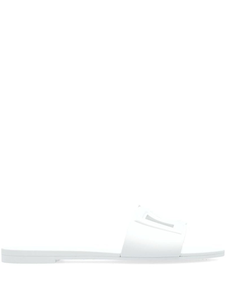 Dg Slides