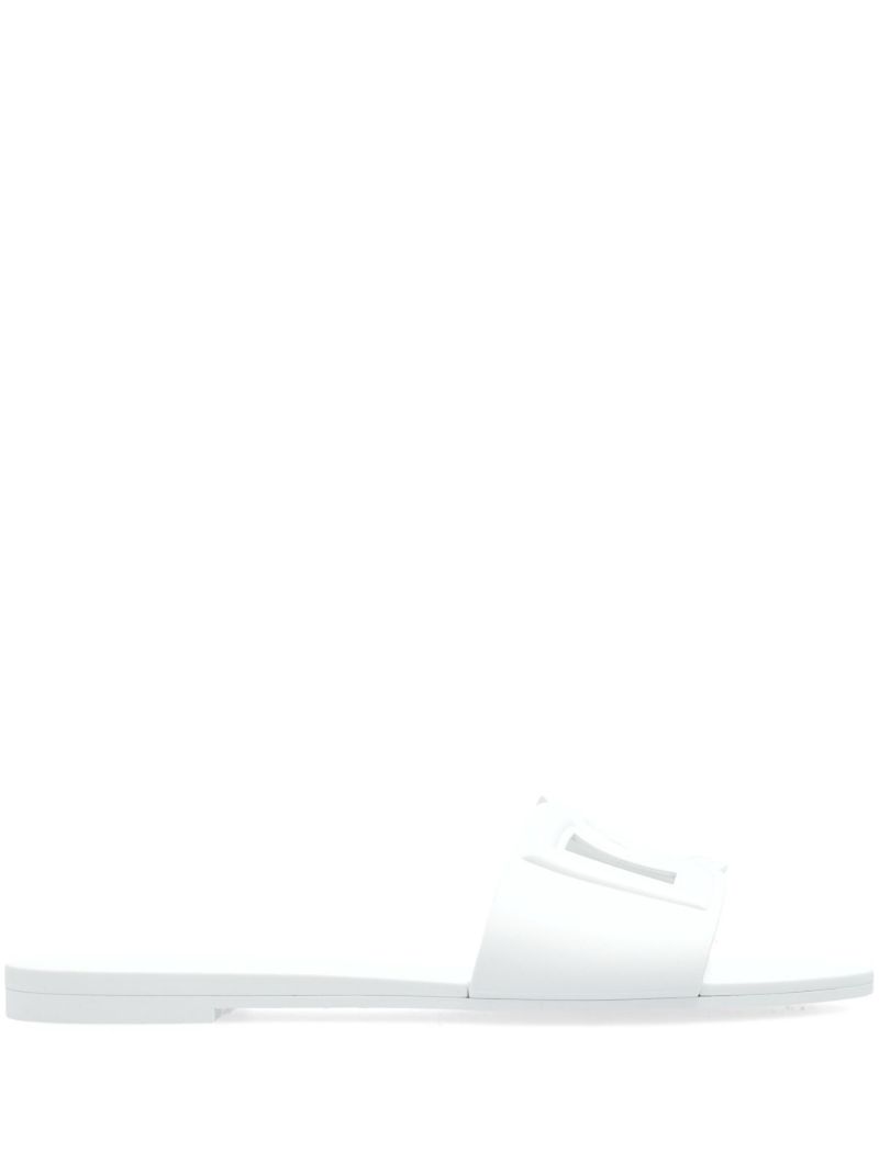 Dg Slides