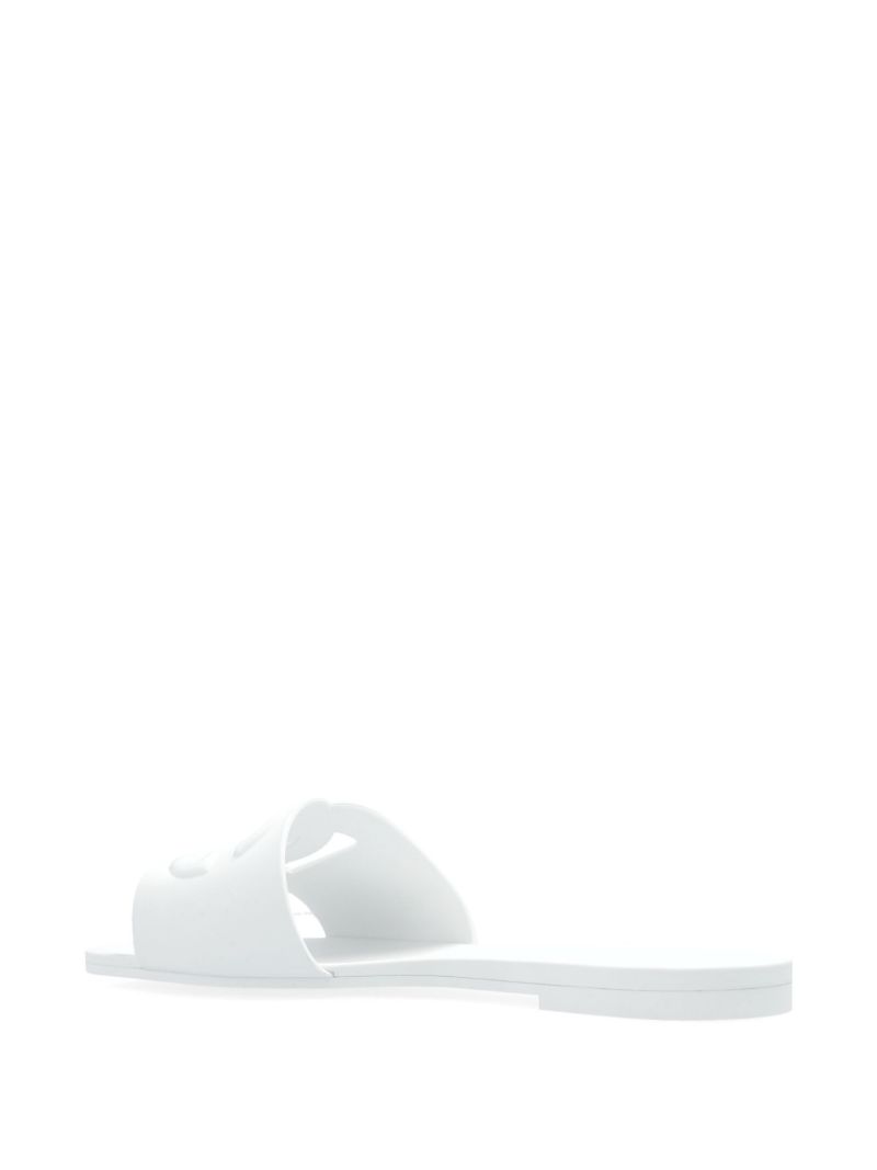 Dg Slides