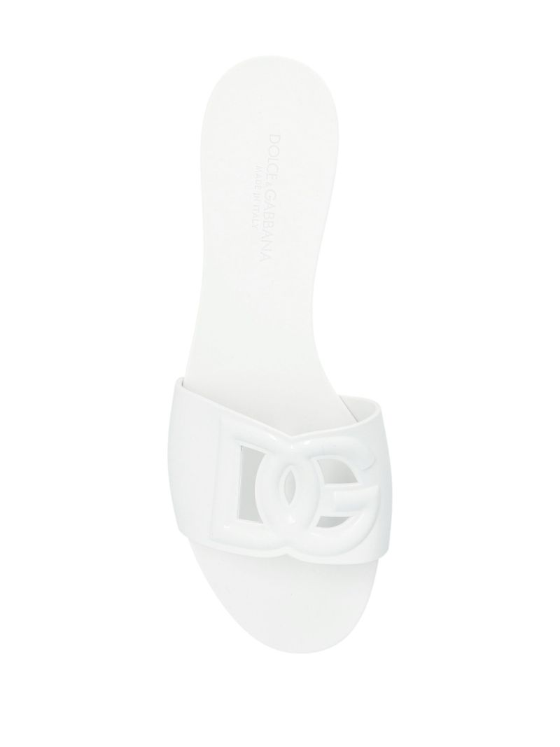 Dg Slides