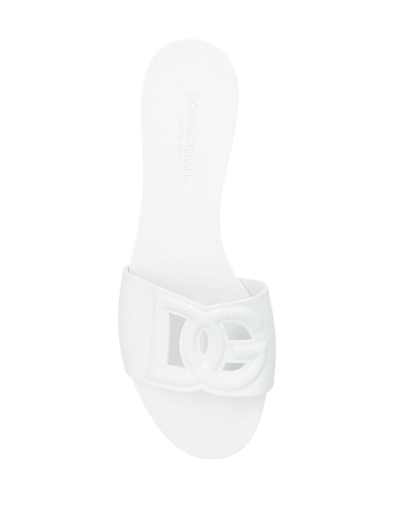 Dg Slides