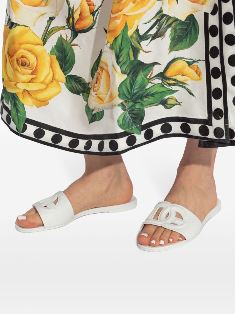Dg Slides