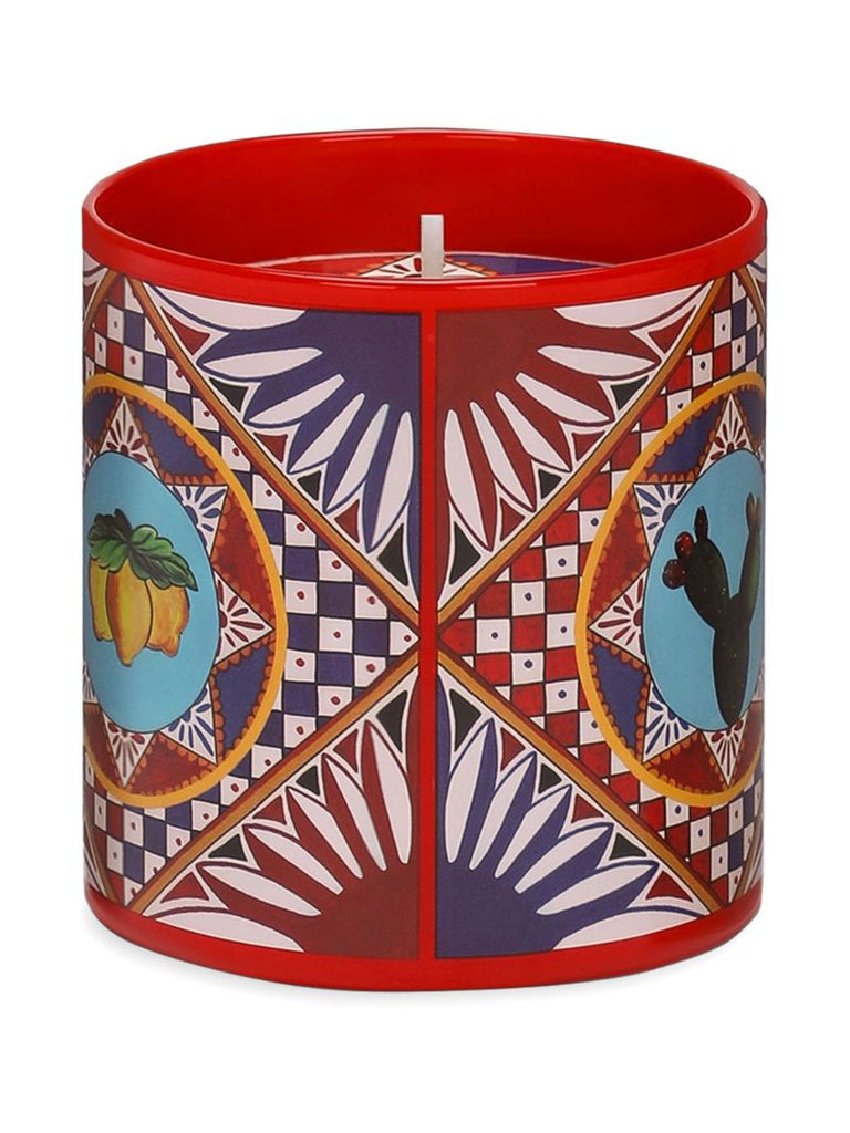 Wild Jasmine Candle (380g)