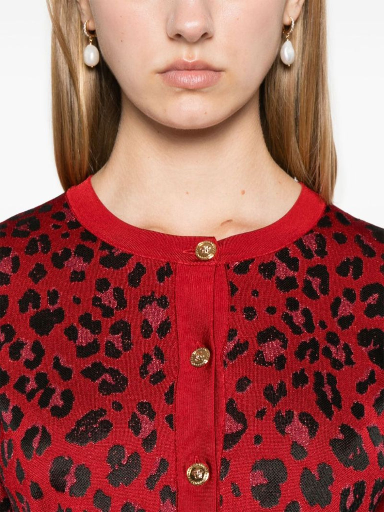 Leopard-intarsia Cropped Cardigan