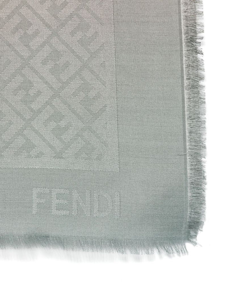 Ff OmbrÃ_x0083_Â© Shawl