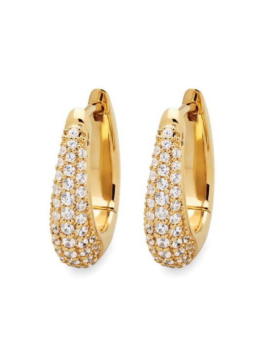Liz PavÃ_x0083_Â© Earrings