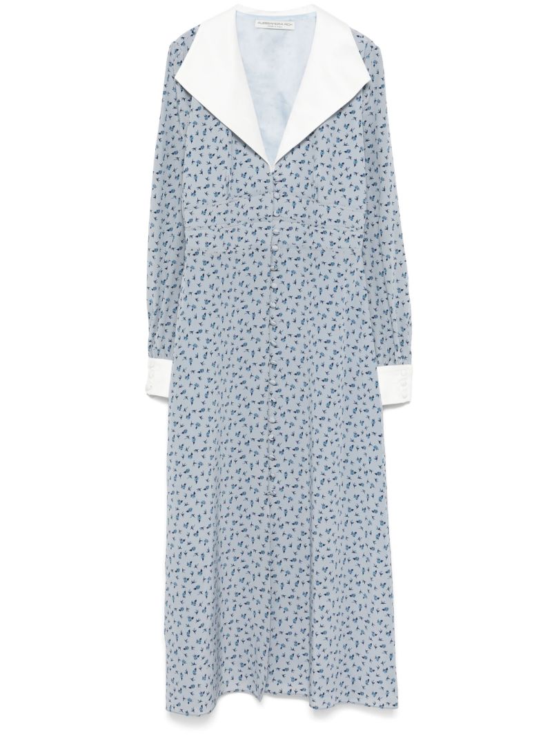 Blue Rose-print Dress