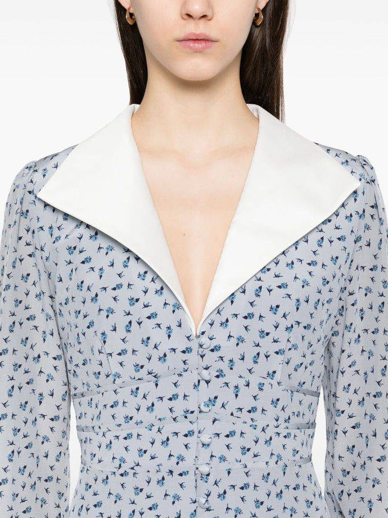 Blue Rose-print Dress