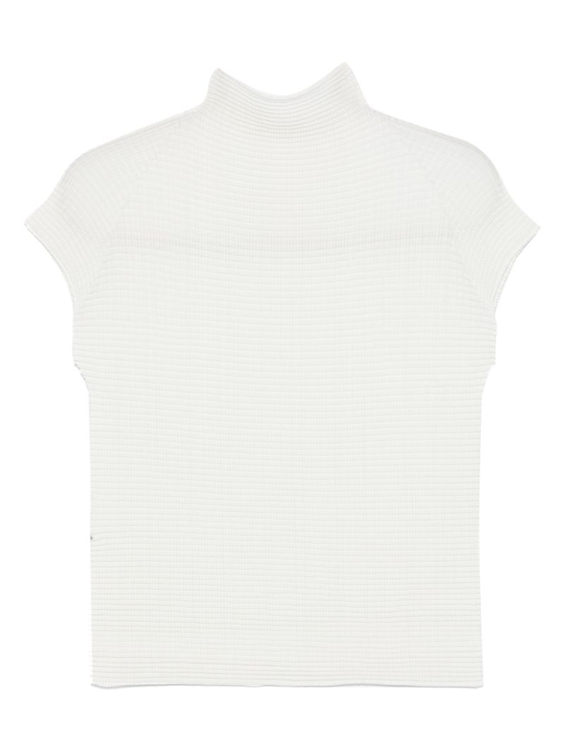 Wooly Pleats Top