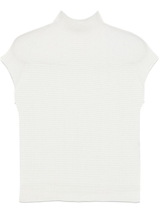 Wooly Pleats Top